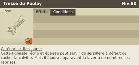 Tresse Poolay